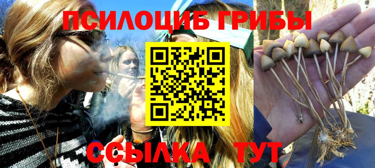 Аша  Псилоцибиновые грибы ЛСД  Псилоцибиновые грибы Psilocybe  Вход с VPN 