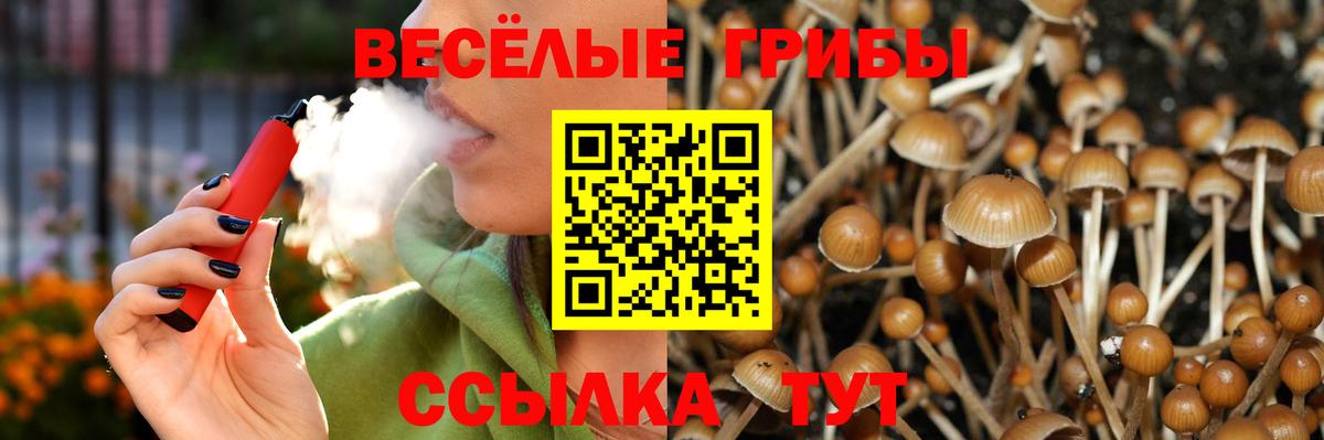 Псилоцибиновые грибы мицелий Аша