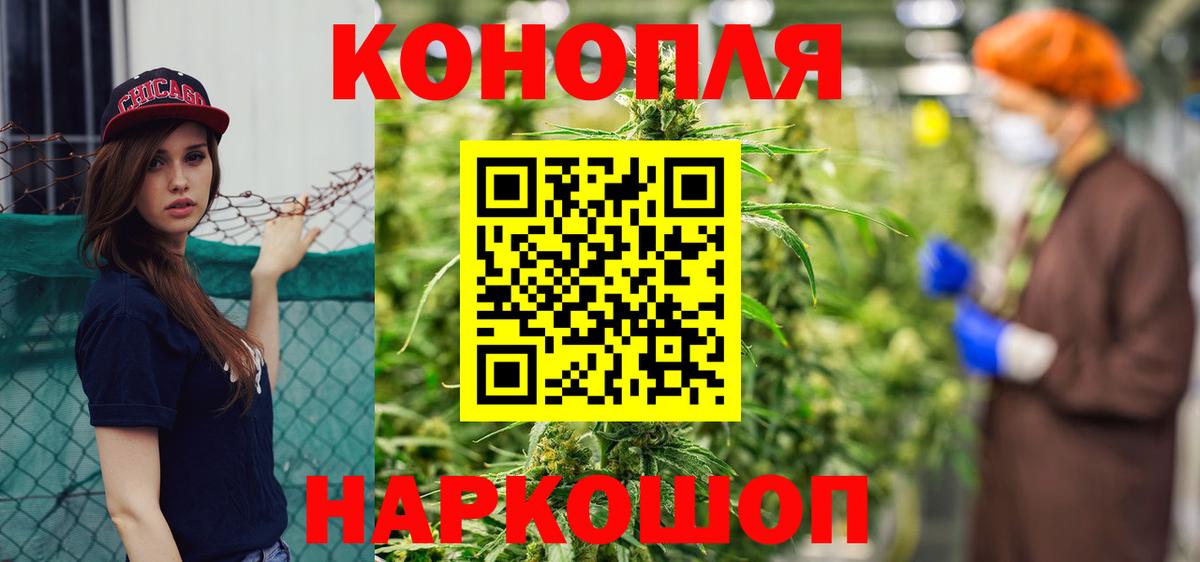Бошки марихуана ГИДРОПОН Аша